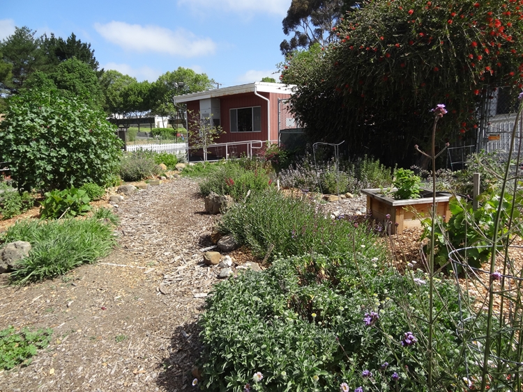 Loma Vista Farm Food Forest Sustainable Solano