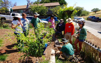 Sustainable Solano Land Caretakers Training/Internship Program 2016-2017