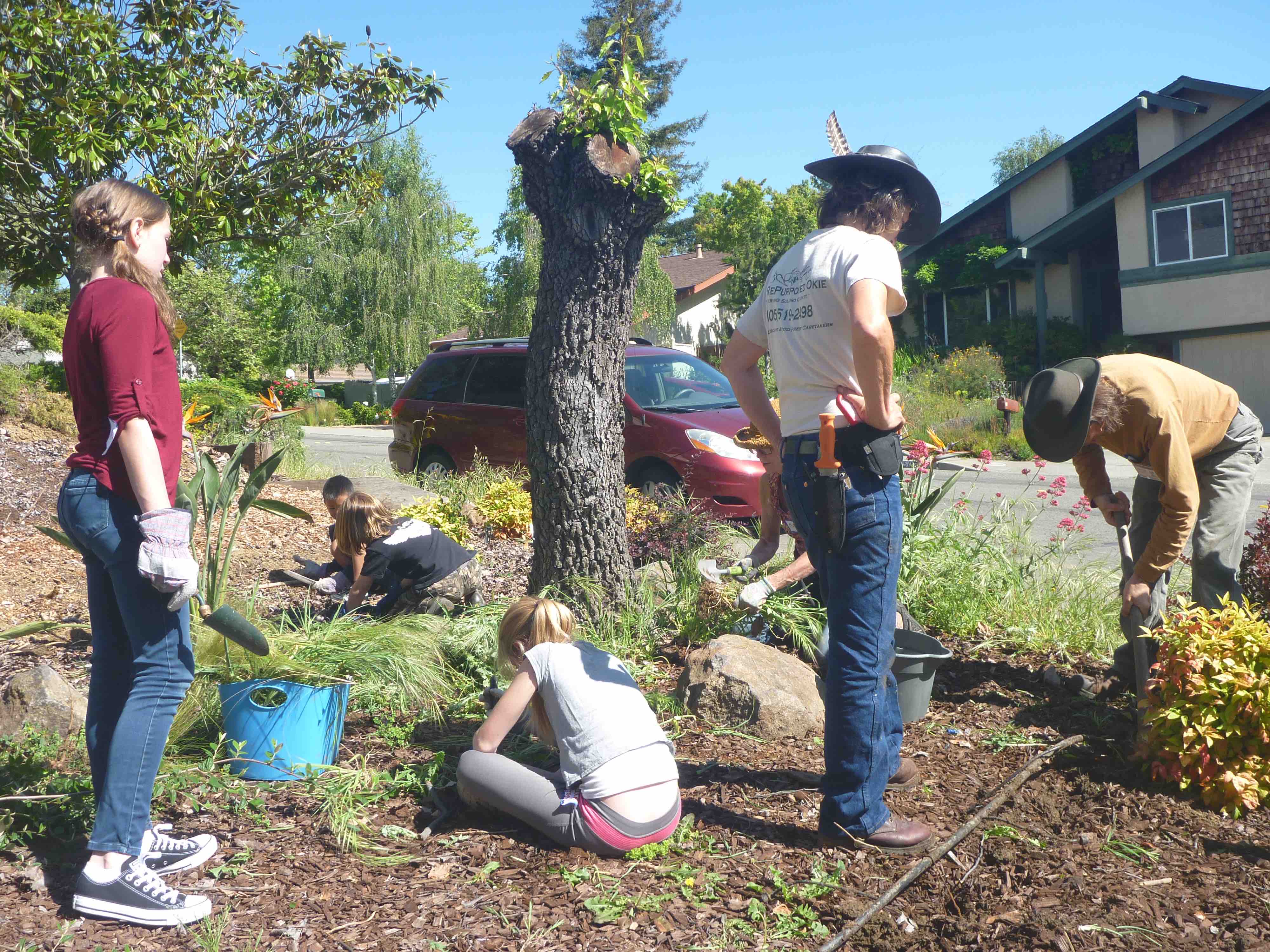 Sustainable Landscaping program in Fairfield and Vallejo