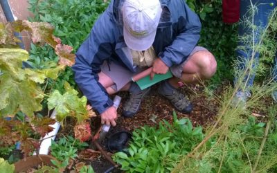 Interested in getting a Laundry-to-Landscape system installed?