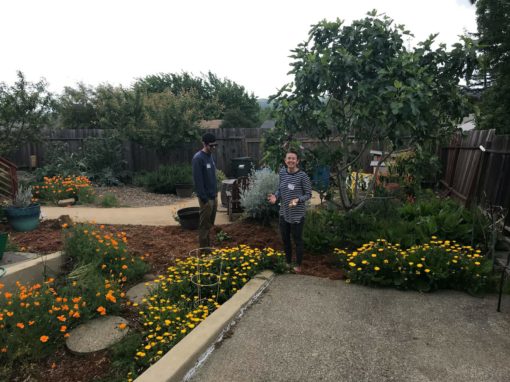 Barley’s Bountiful Backyard