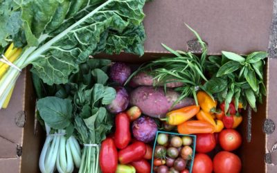 Solano County Local Food