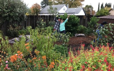 2023 Fairfield & Suisun City Demonstration Food Forest Garden Tour & Healthy Local Food Showcase is May 6!