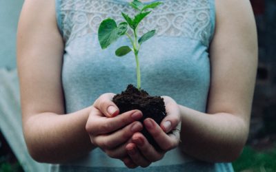 Caretaking of Nature and Community: A Conversation Between Wendell Berry and Helena Norberg-Hodge