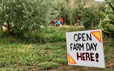 Explore Local Farms at Open Farm Days in Vacaville