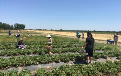 CSA Farm Spotlight: Eatwell Farm