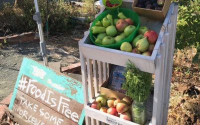 Food is Free Benicia Shares Bounty with Foodstand