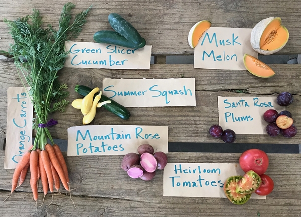 CSA Farm Spotlight: Riverdog Farm