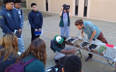 Students Make Real-World Connections Through Sustainability Education