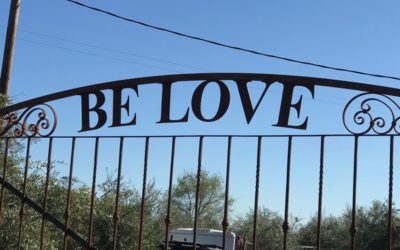 What Would Love Do?