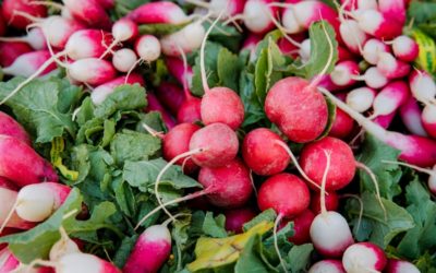 Pan-Roasted Radishes with Radish Greens