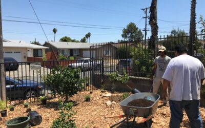 Resilient Neighborhoods Plant Seeds for Future in Uncertain Times