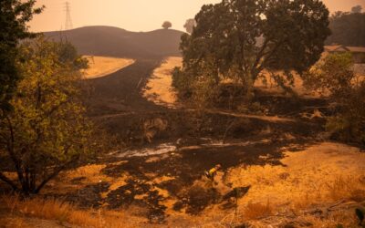 Wildfire Relief Goes to Farms to Meet Immediate Needs and Build Future Resilience