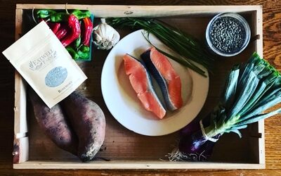 Wild-Caught Salmon with Green Onion Gremolata & Seasonal Vegetables