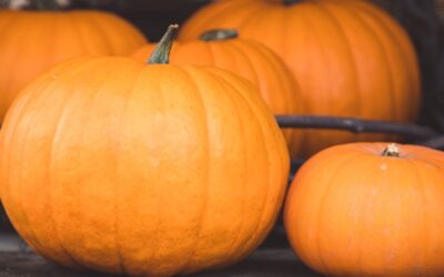 Calabaza en Tacha (Candied Pumpkin)