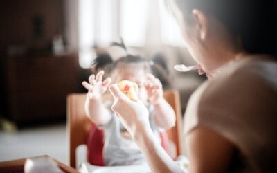 Homemade Baby Food