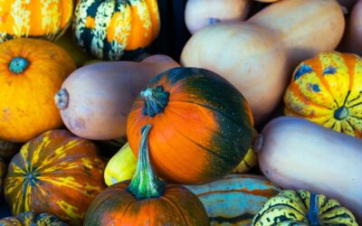 Rasta Mama’s Kitchen Pumpkin Curry Stew