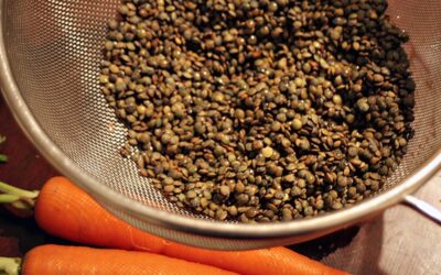 French Green Lentil Soup