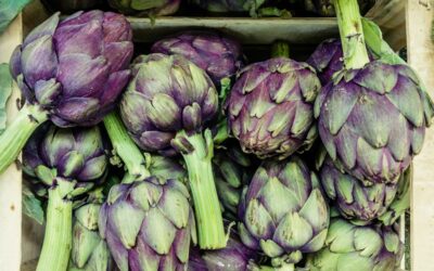 All About Artichokes