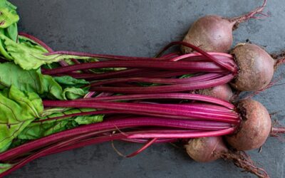 Salt-Roasted Beets with Pickled Cherries, Creamy-Roasted Zucchini Purée, and Lemon Olive Oil Dressed Spinach