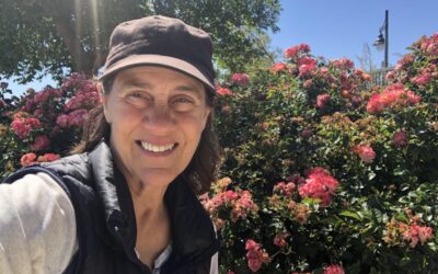The Sustainable Rose Garden