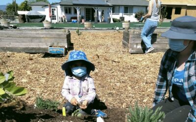 Solano Gardens Expands Program to Get More Resources to Community