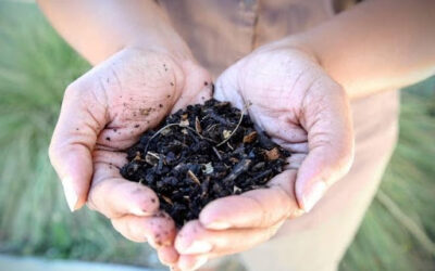 Grow Your Gardens and Knowledge Through Our Compost Classes