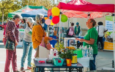 Climate & Environmental Festival Reconnects Community to Create Change