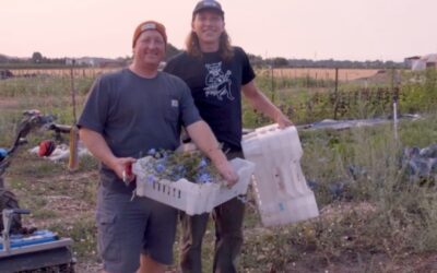 CSA Farm Spotlight: Umbel Roots