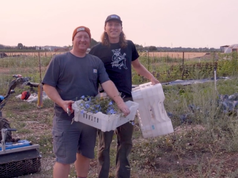 CSA Farm Spotlight: Umbel Roots