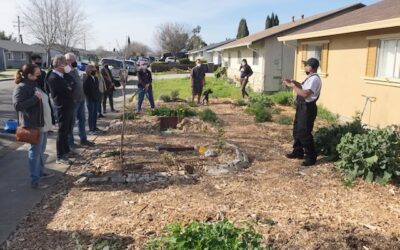 DIY Sustainable Landscape Design Class a Hit for Homeowners