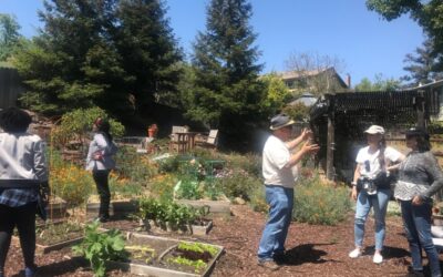 2022 Benicia & Vallejo Demonstration Food Forest Garden Tour Slideshow