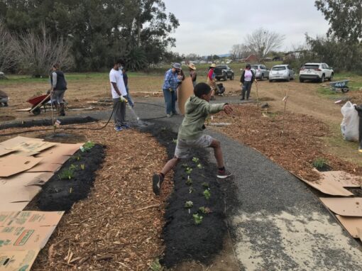 Garden of Shalom