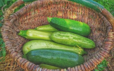 Zucchini Salad with Lemon Zest