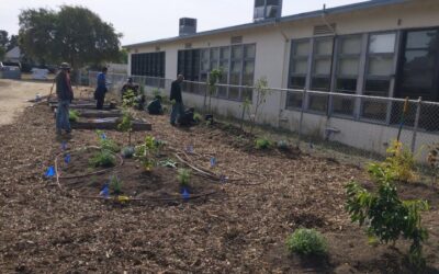 Farm to School Brings New Garden to Vallejo’s Griffin Academy