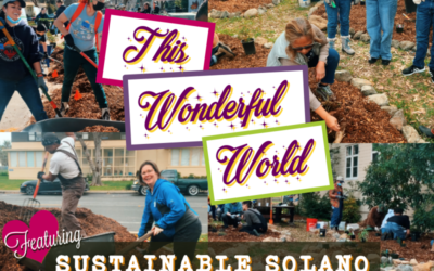 The Joy of Making ‘This Wonderful World’ Together: Musical Media to Share the Love Our Community