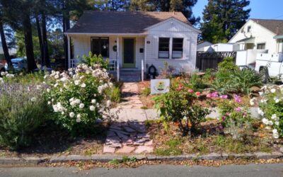 2023 Benicia & Vallejo Tour: Featured Gardens