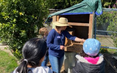 Bringing Chickens to the Community