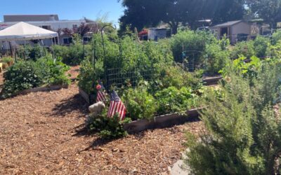 The Latest from Benicia Community Gardens