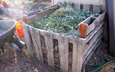 How to Compost at Home