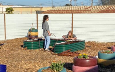 Tell Us About Your Urban Ag Needs!