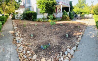 Building Backyards (and Front Yards) of Hope