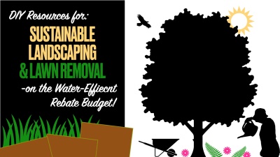 Sustainable Landscaping, Lawn Removal on Water-Efficient Rebate Budget