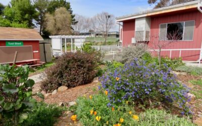 2024 Benicia & Vallejo Tour: Featured Gardens