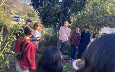 Farm Field Trip Highlights Connections to Food and Well-Being for Interns