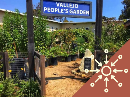 Vallejo People’s Garden