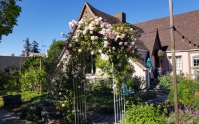 Benicia & Vallejo Food Forest Garden Tour Celebrates Its 10th Year!