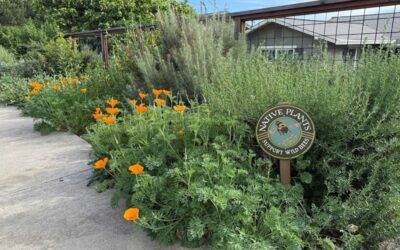 2026 Benicia & Vallejo Tour: Featured Gardens