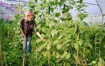 Doing Good: Bless’d Blossom