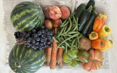 The True Cost of Local Food